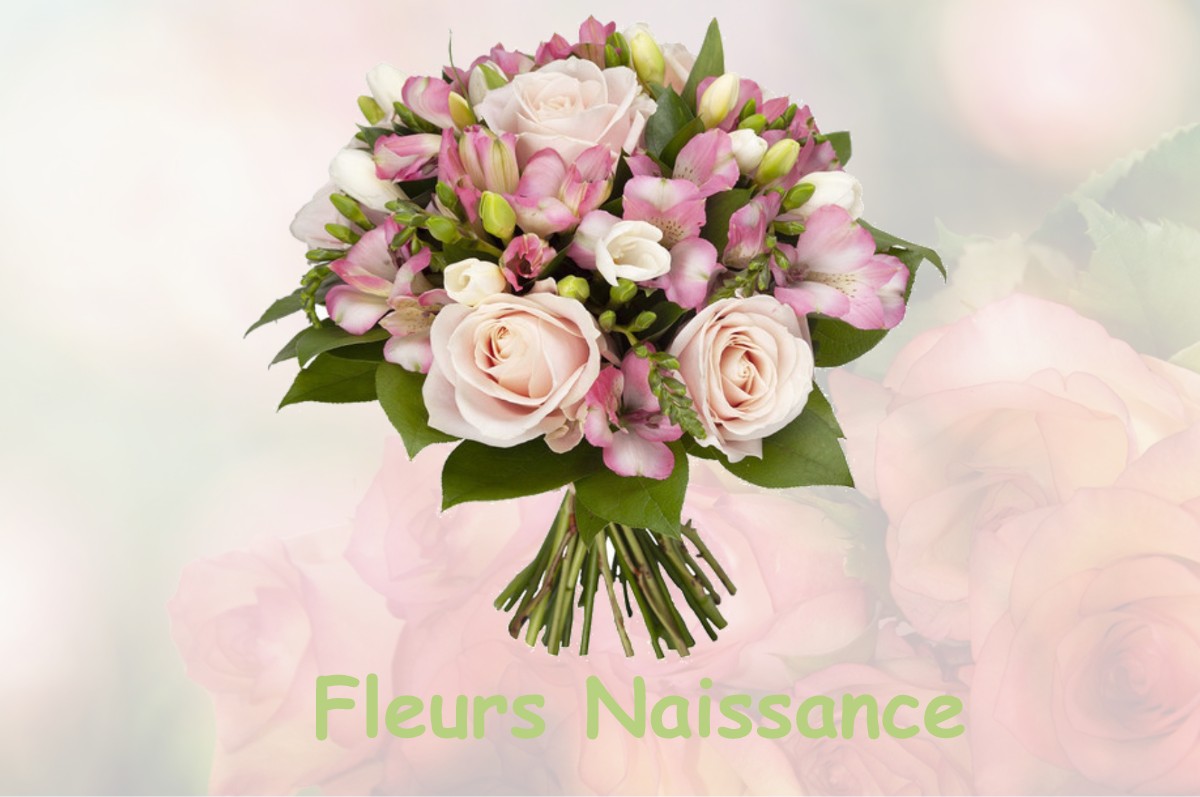 fleurs naissance BRETAGNE-DE-MARSAN