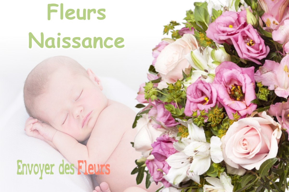 lIVRAISON FLEURS NAISSANCE à BRETAGNE-DE-MARSAN